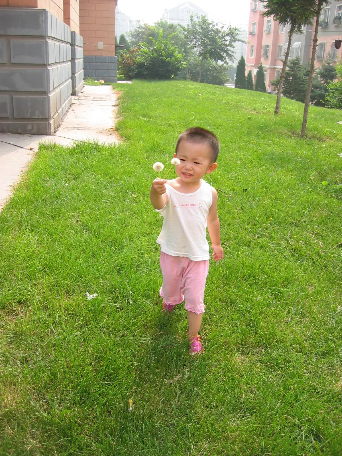 罗伯特巴乔和巴乔什么关系,大学的时候我喜欢一个女孩