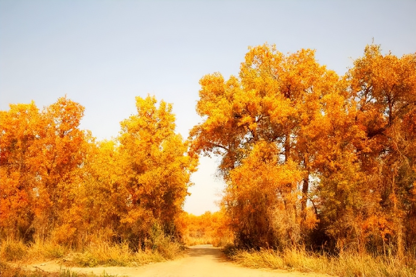 环游新疆15天,环游南疆8天攻略