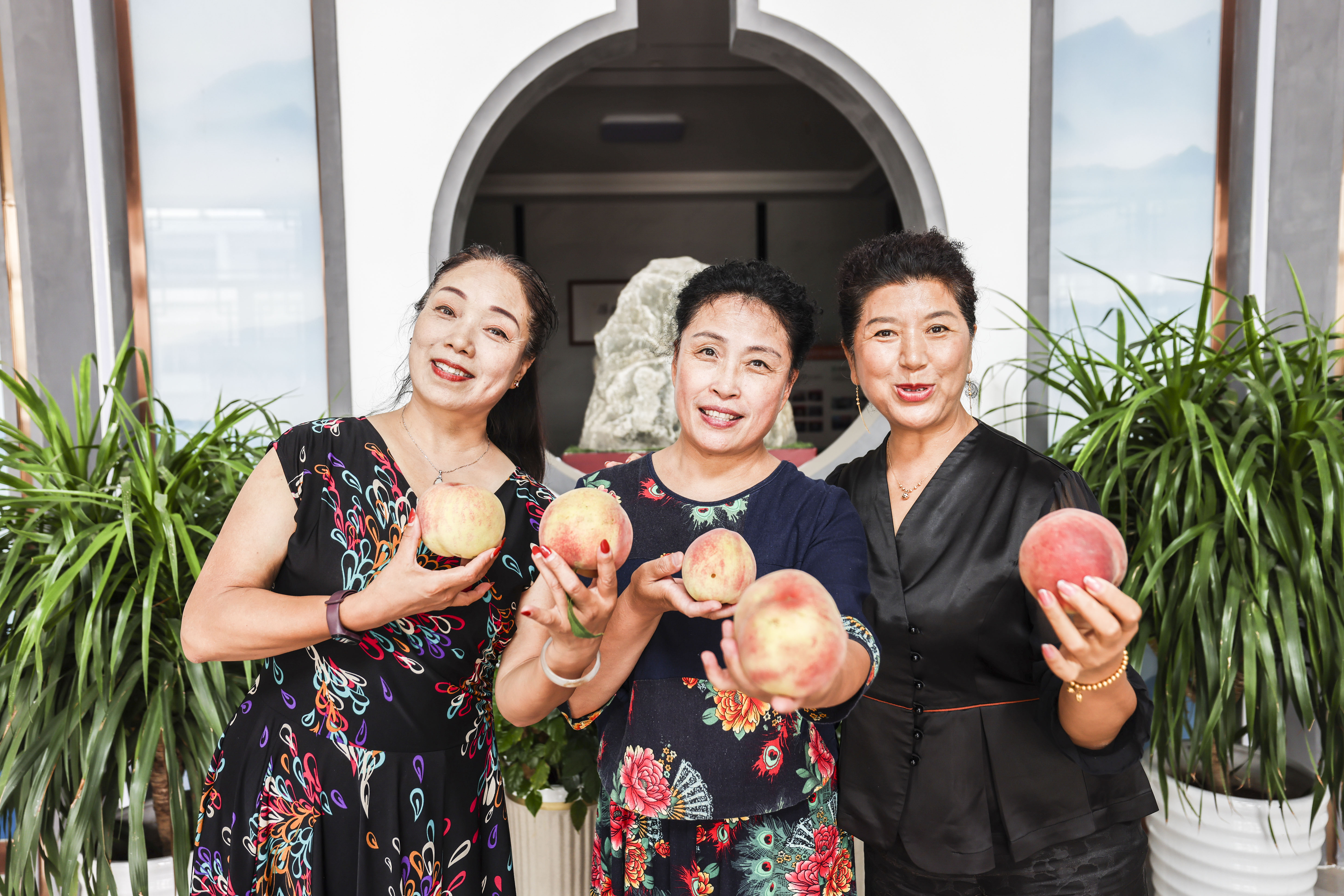 春有桃花源艺术节，夏有蜜桃采摘季，蜜桃成徐村乡村振兴新名片