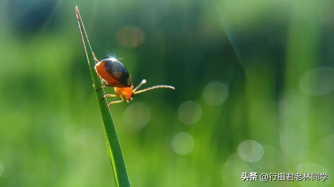 手机拍照和手机摄影的区别,手机拍照摄影基础知识入门