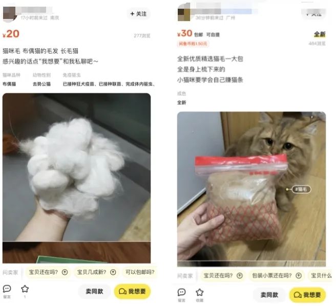 捡垃圾赚钱有什么生意做,捡垃圾能做什么生意