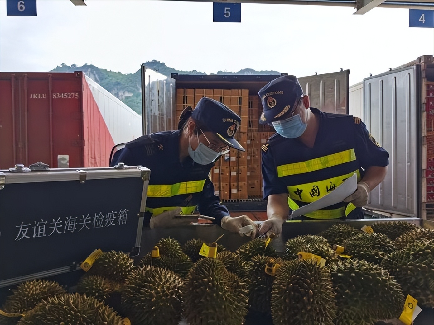 泰国南部榴莲上市对价格有冲击吗,3月份泰国金枕榴莲行情预估