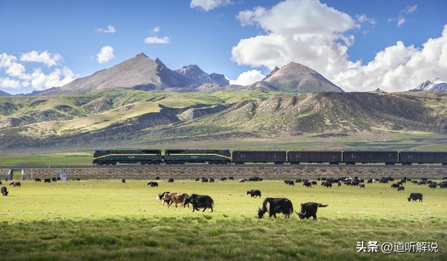 李娜出家后在五台山唱的第一首歌,李娜出家五台山后第一次演唱会