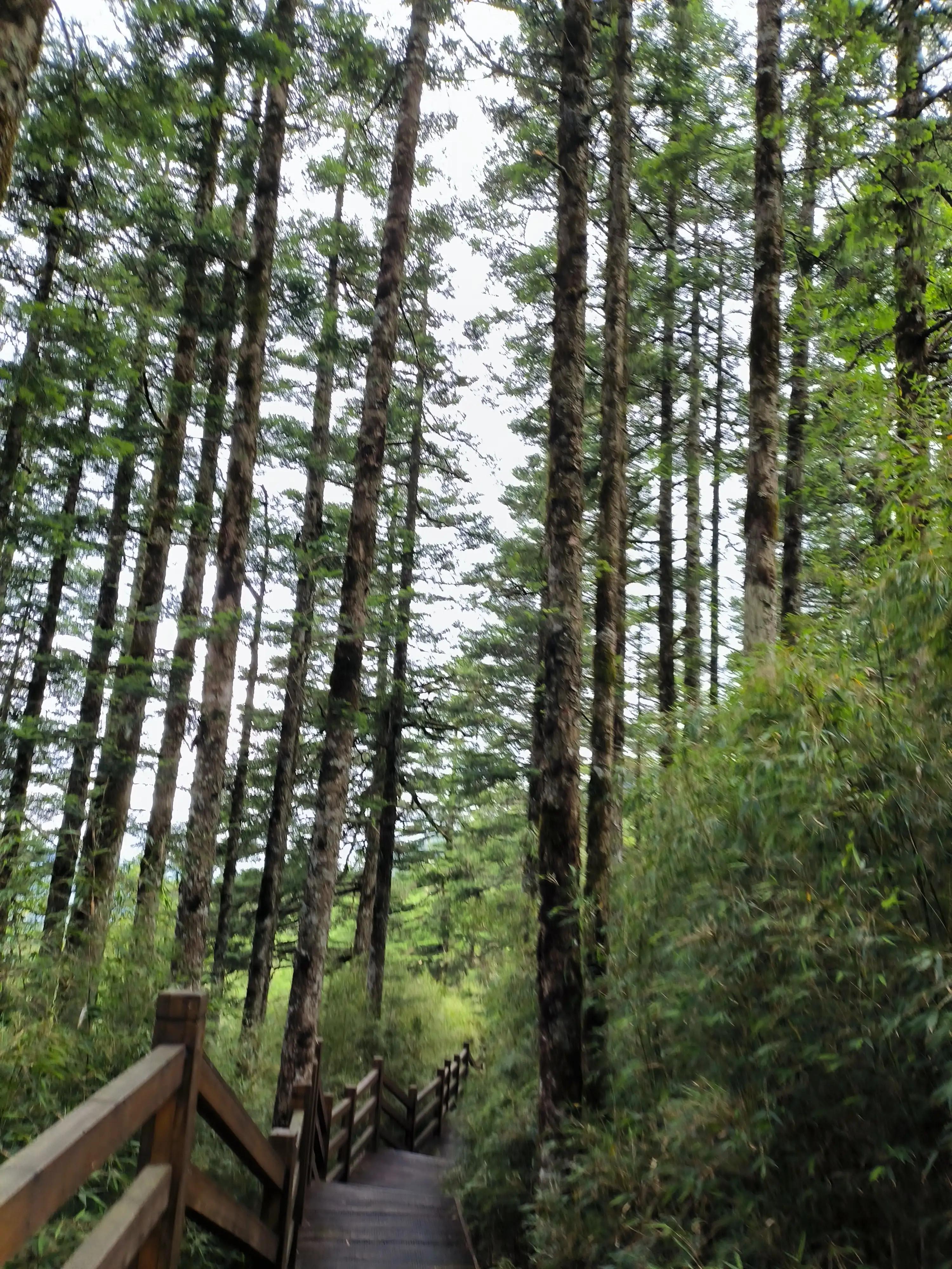 武汉到神农架高铁开通了吗,武汉到神农架汽车多长时间