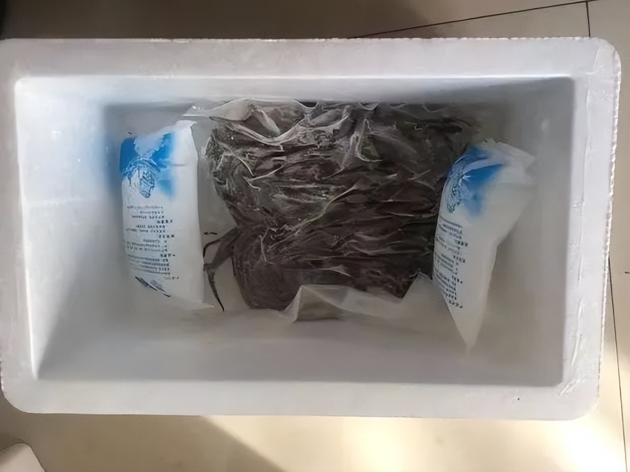 我在淘宝卖黄鳝骨头，连着生死，却“希望没有客人”