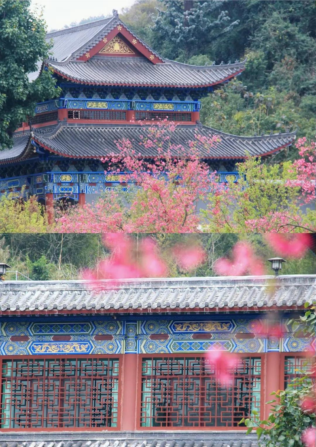 旅游推荐韶关最值得去的5个地方,韶关旅游必去的地方推荐一下