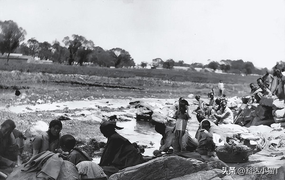 日本731部队的母爱实验,日本731部队母爱实验
