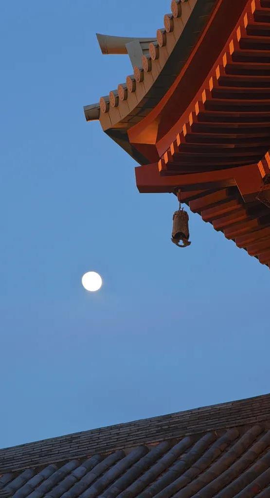 祝大家中秋快乐明月千里寄相思,明月千里寄相思徐小凤中秋视频