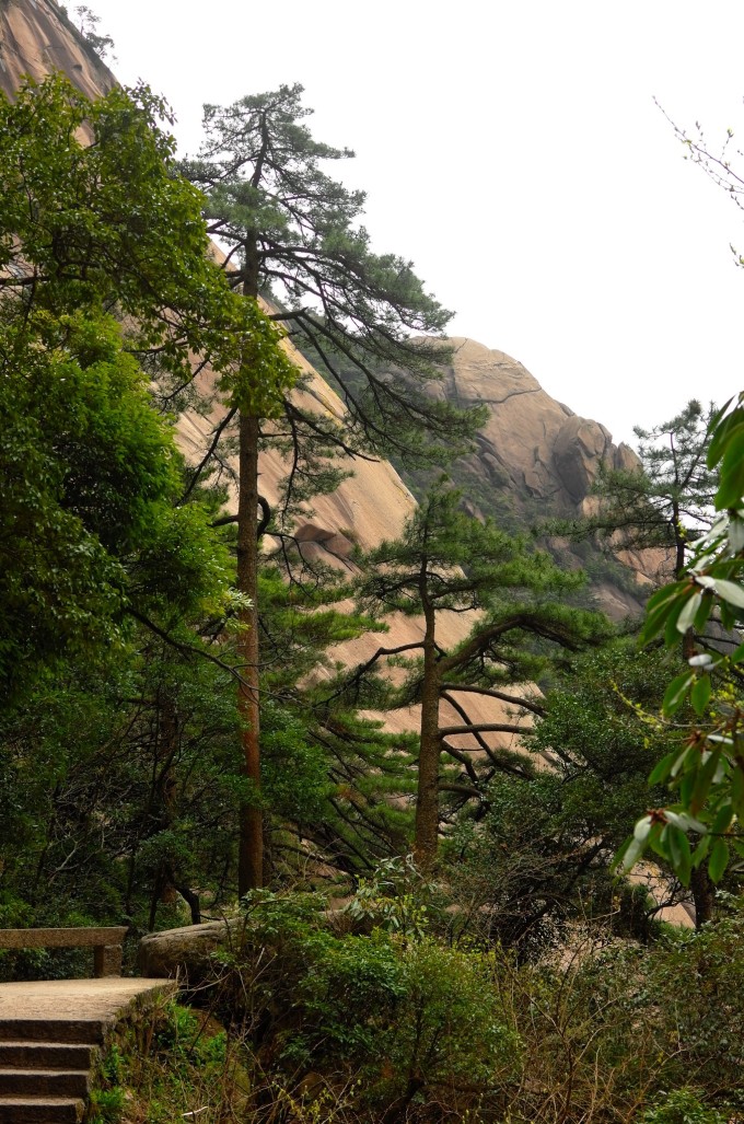 黄山慈光阁到玉屏楼步行多久,爬黄山从慈光阁开始的攻略