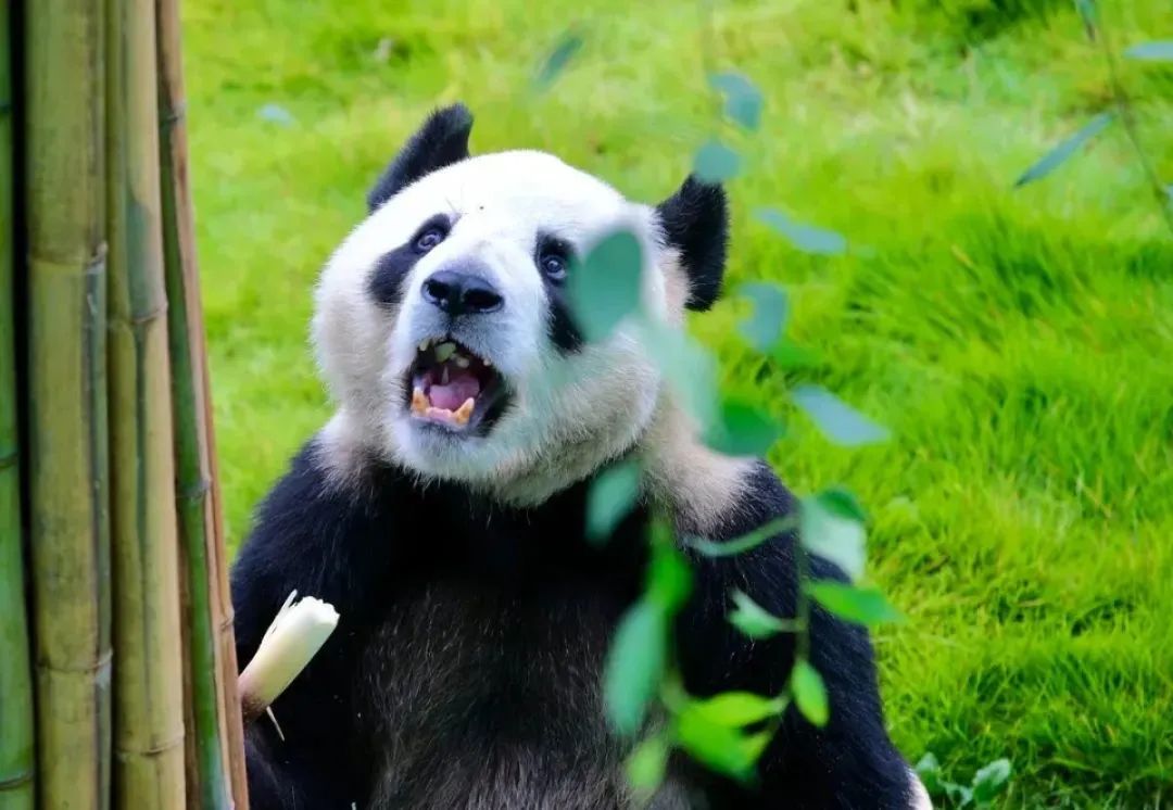 半价门票,景区免票半价