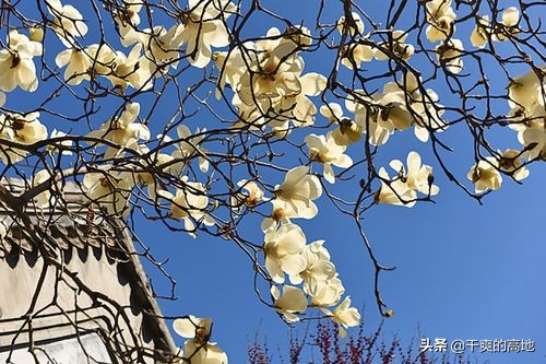 李朝全作家,李朝全演讲视频