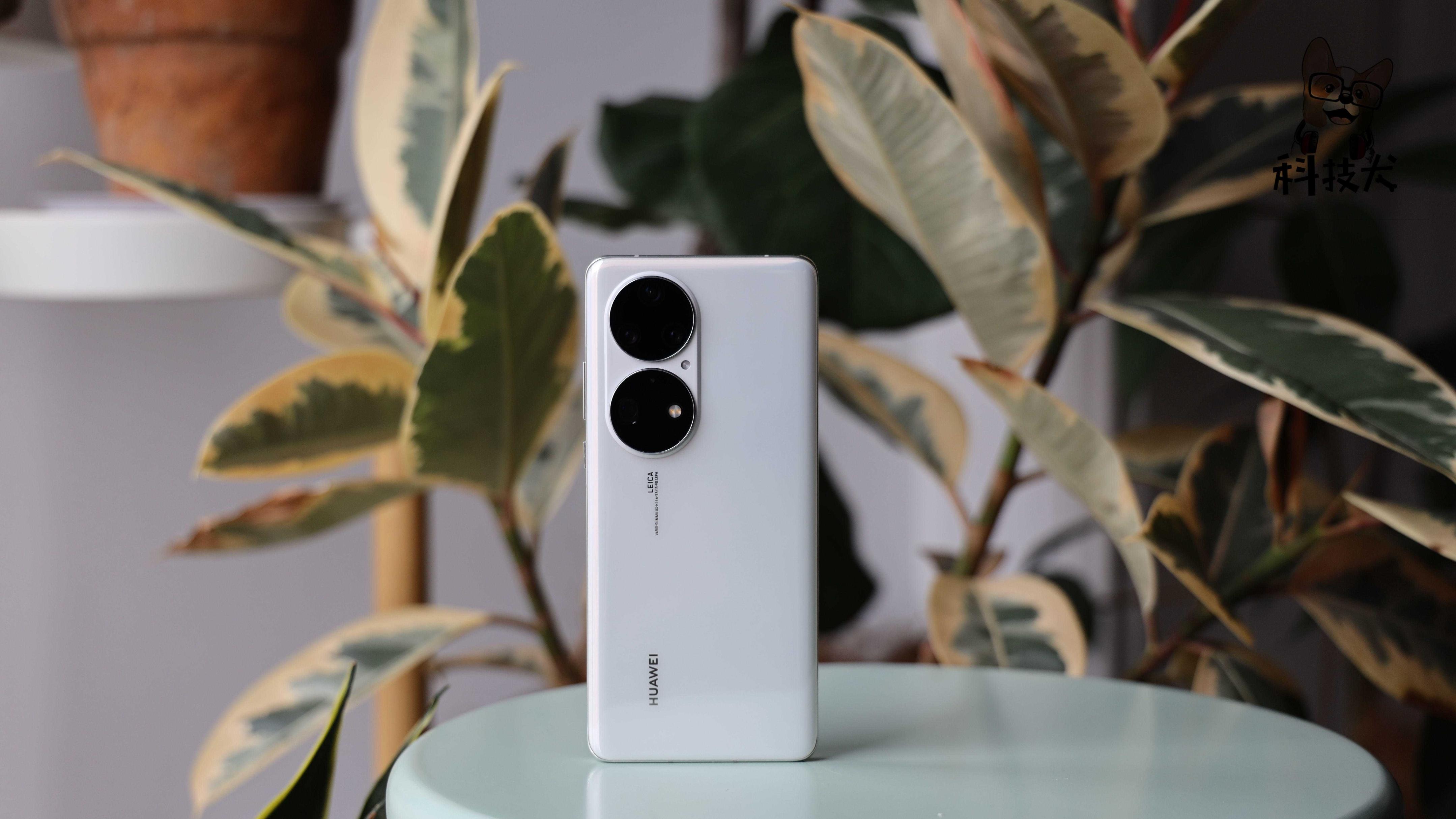 小米徕卡经典拍照实际效果,徕卡相机和小米徕卡