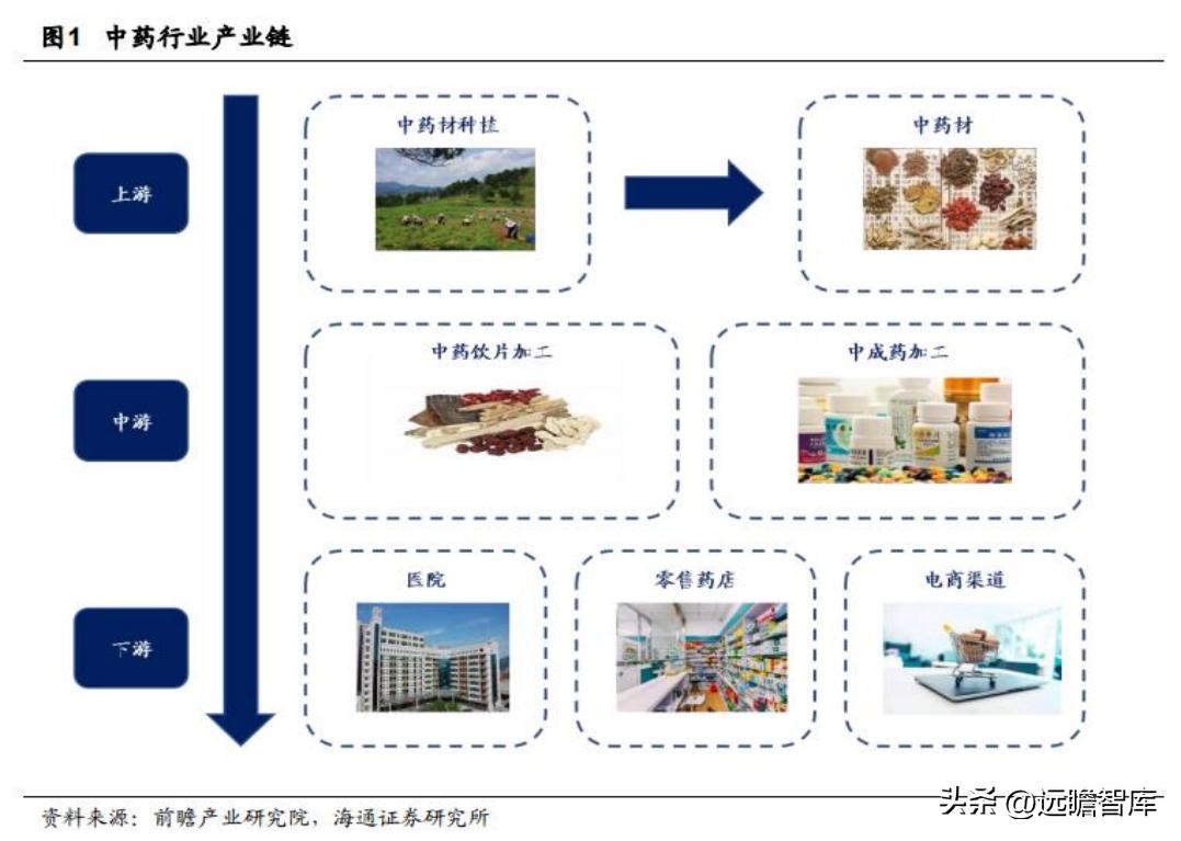 中药产业链投资逻辑,中药行业发展现状及前景预测报告