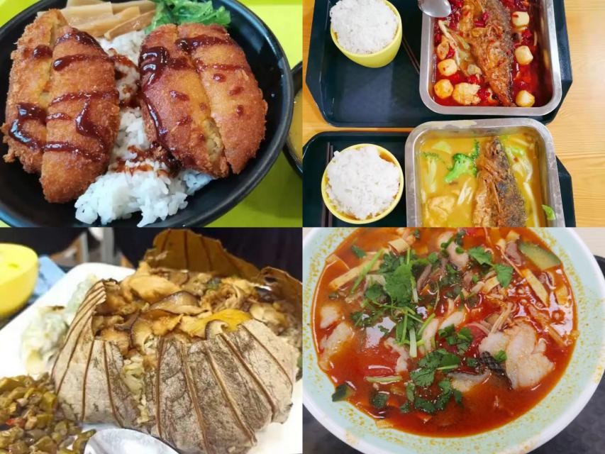 在中山大学的学习感受,在中山大学读书是什么体验