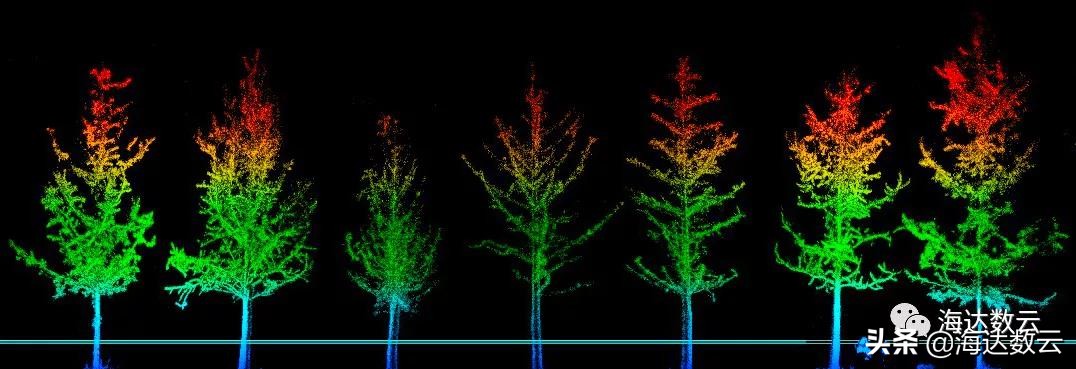 激光雷达林业调查,激光雷达森林防火