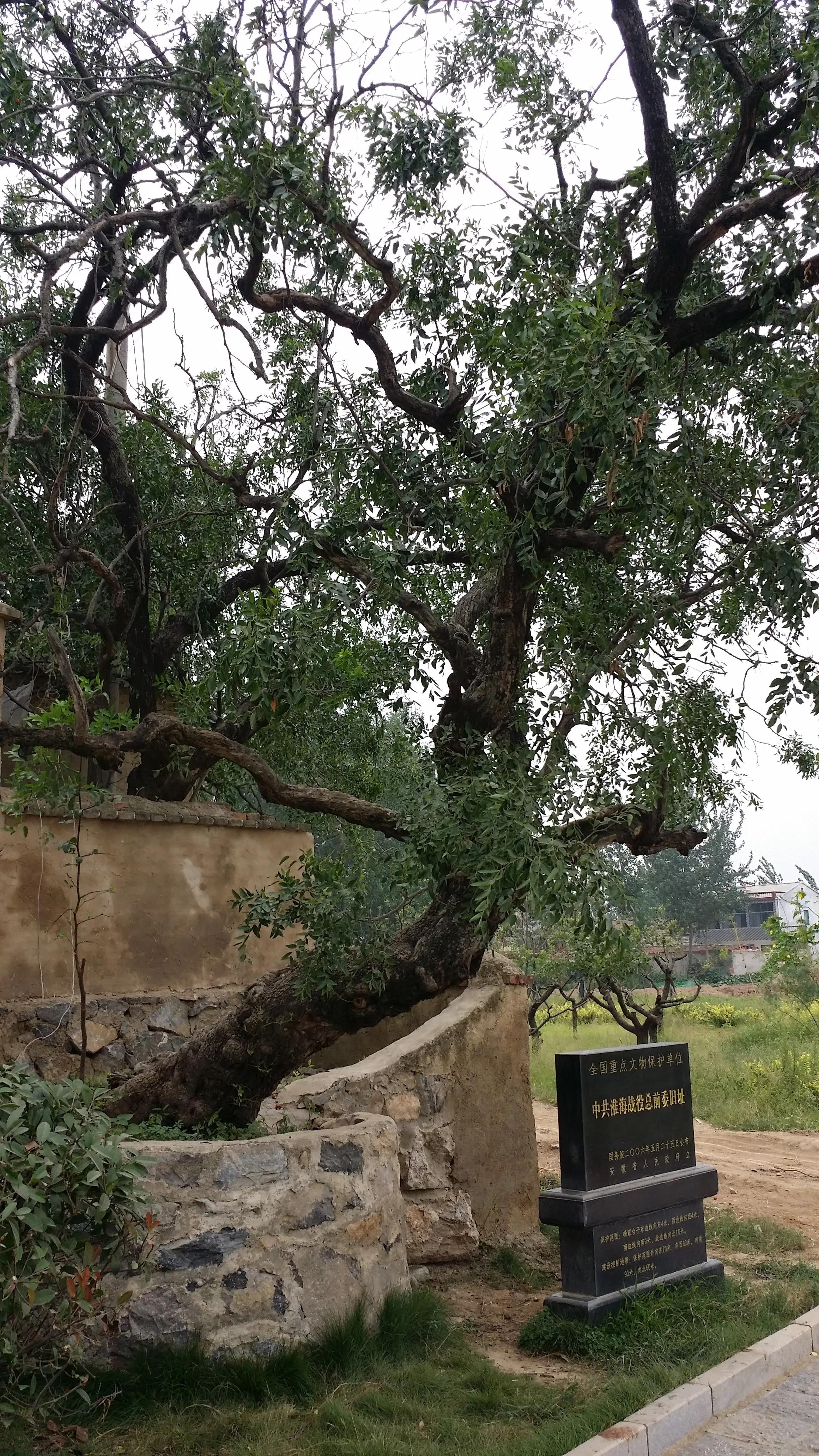萧县周边一日游攻略,萧县周边旅游景点推荐一日游
