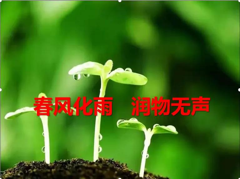 如何让人才发挥自己的最大作用,如何让人才充分发挥作用