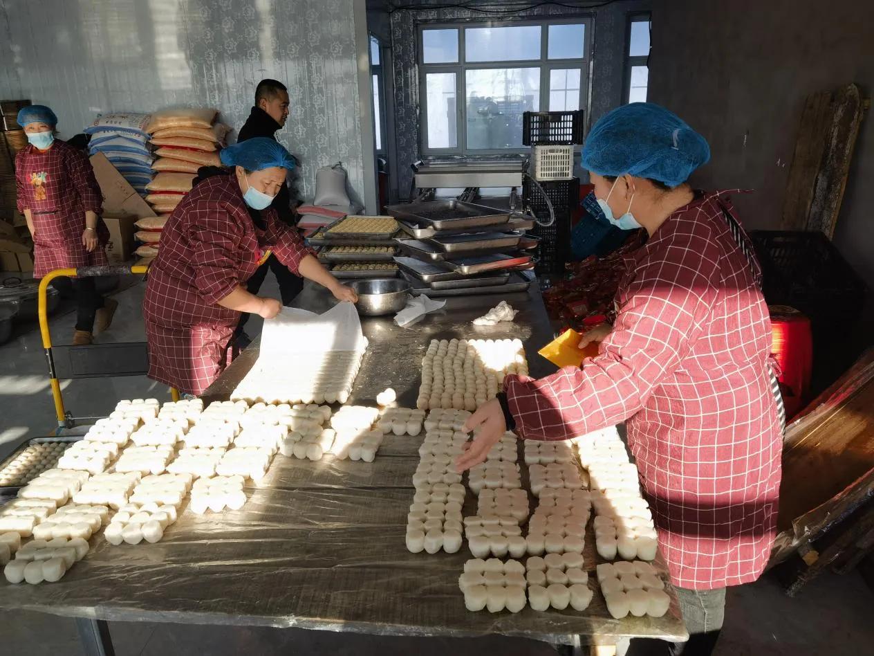 黑龙江明水县：巩固乡村振兴成果引进扶持新兴产业