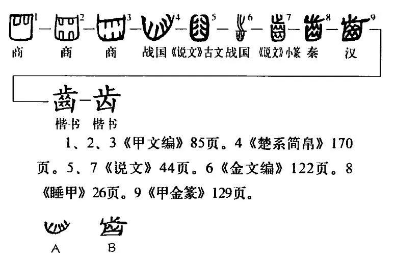 趣味词源,还有哪些有趣的词源旅行