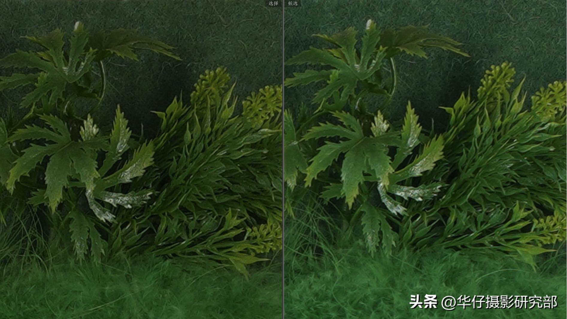 索尼a6700溢价了吗,索尼微单a6700