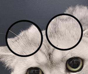 8月份6日游国内哪里好,8月6日适合去哪旅游攻略