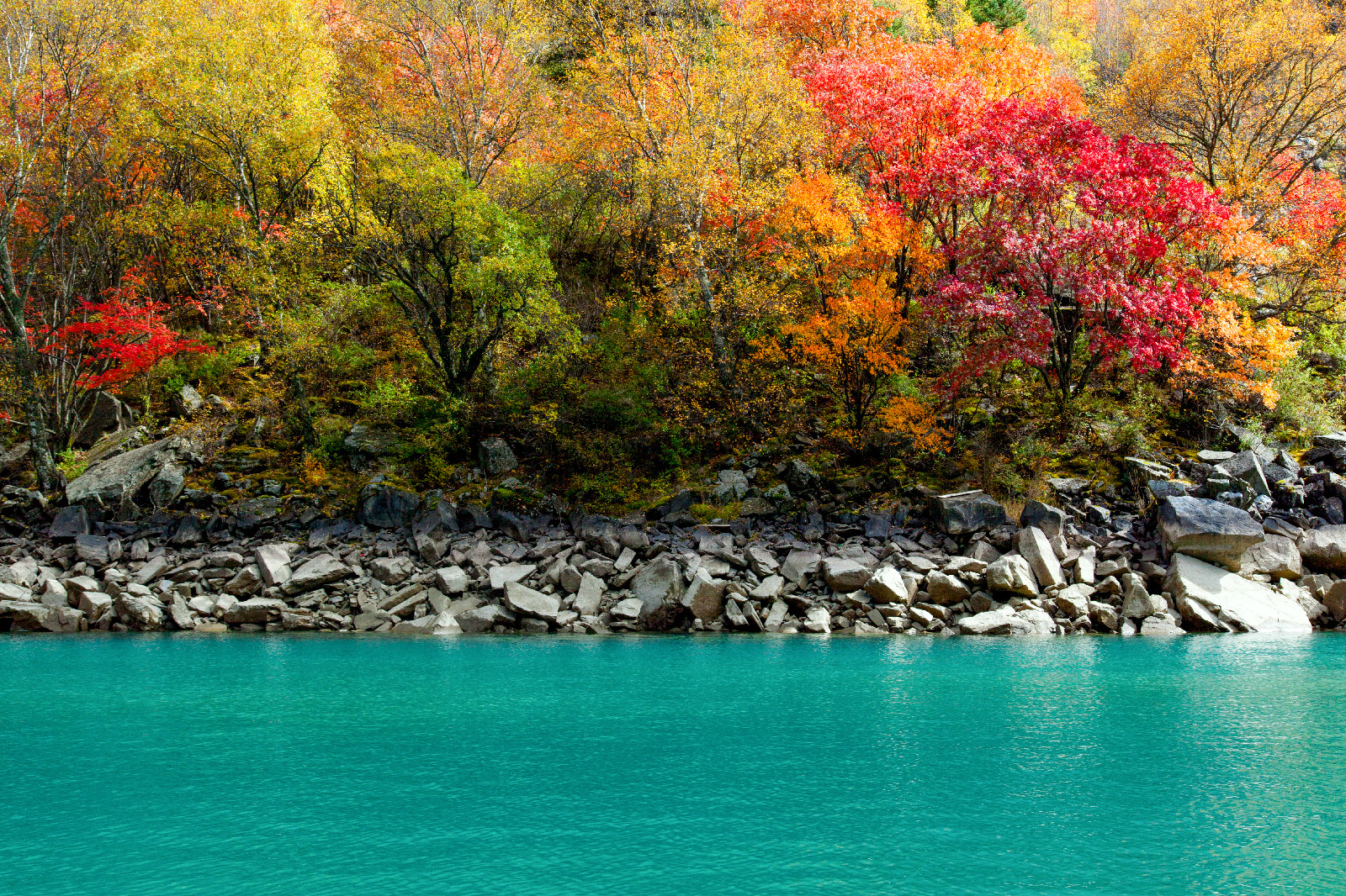 一天来回！别名“小九寨”的油画秋色、高山草甸，一站式游玩到底