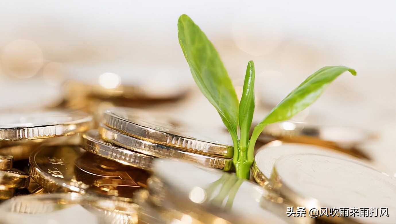 北交所的新股申购条件是什么,北交所的新股申购和买卖交易原则