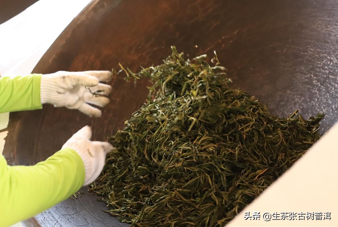 普洱茶每个步骤都需要精湛的工艺,了解普洱茶的必备知识有哪些方面