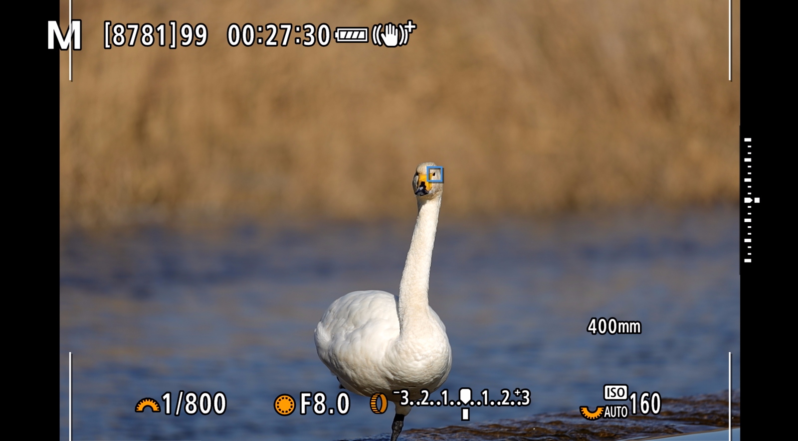 佳能canoneosr3测评,佳能eosr3震撼登场