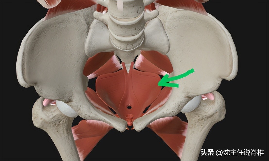 剖腹产盆底肌检查有必要吗,剖腹产后需要做宫颈检查吗