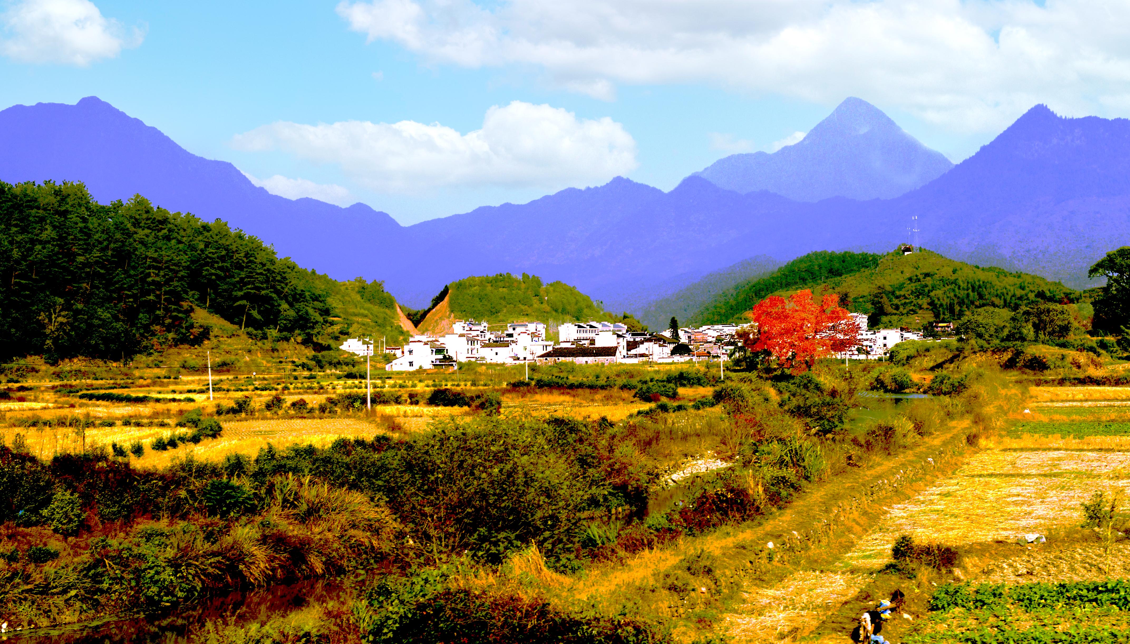 诗人张嵩诗歌作品选读塞上春早