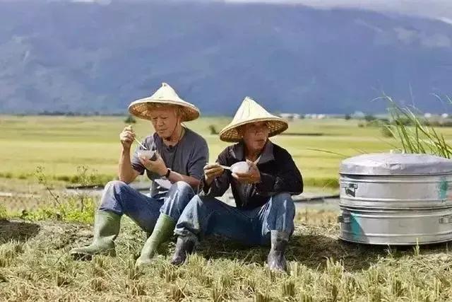 一棵开花的树最主要的意境,一棵开花的树创造了什么意境