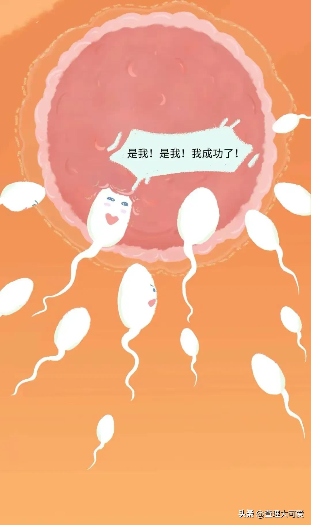 小蝌蚪找妈妈故事完整漫画,小蝌蚪漫画