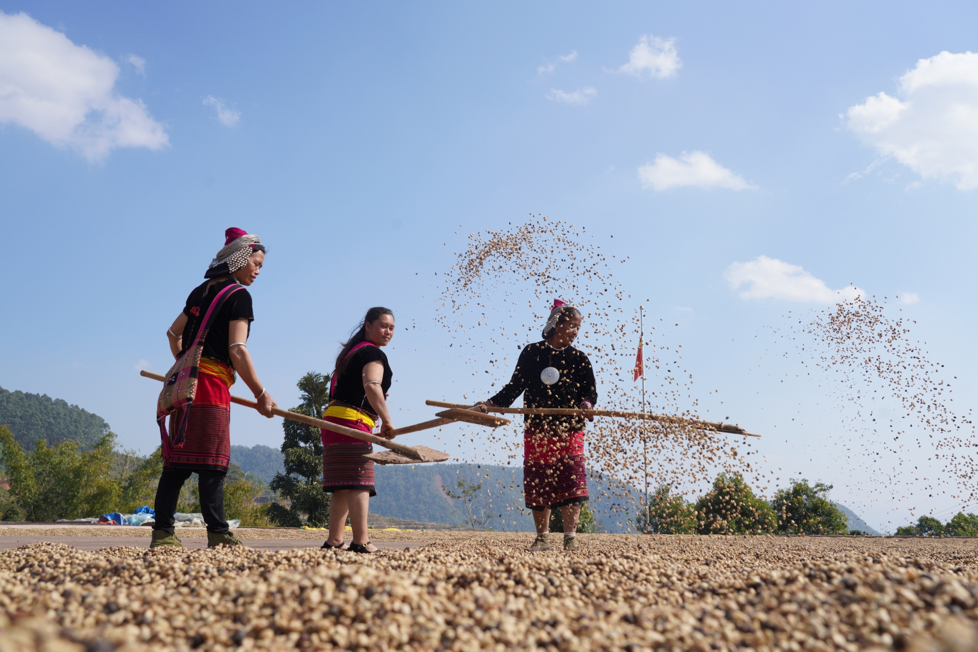 观云台丨云南咖啡是否“香精豆”？我们采访了8位资深从业者……