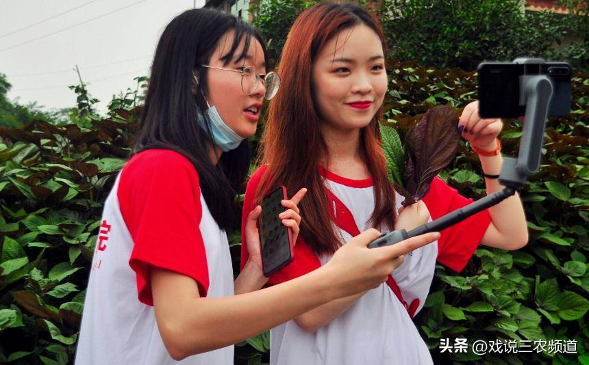 2-3万小本生意什么最赚钱,简单好上手又挣钱的小本生意