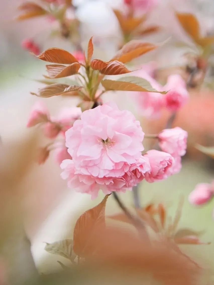 港剧那些年追过的剧,好港