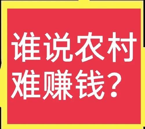 农村现在有什么好的项目生意好做,农村有什么投资少的致富项目