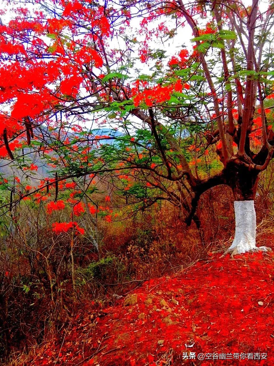 宅在家里挣钱的副业,宅在家也可以找个副业