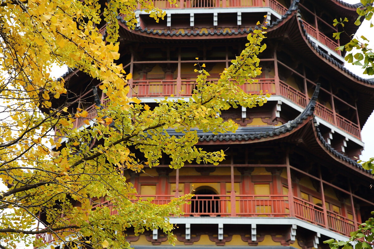 秋天的苏州必去的景点,苏州秋天小众景点推荐