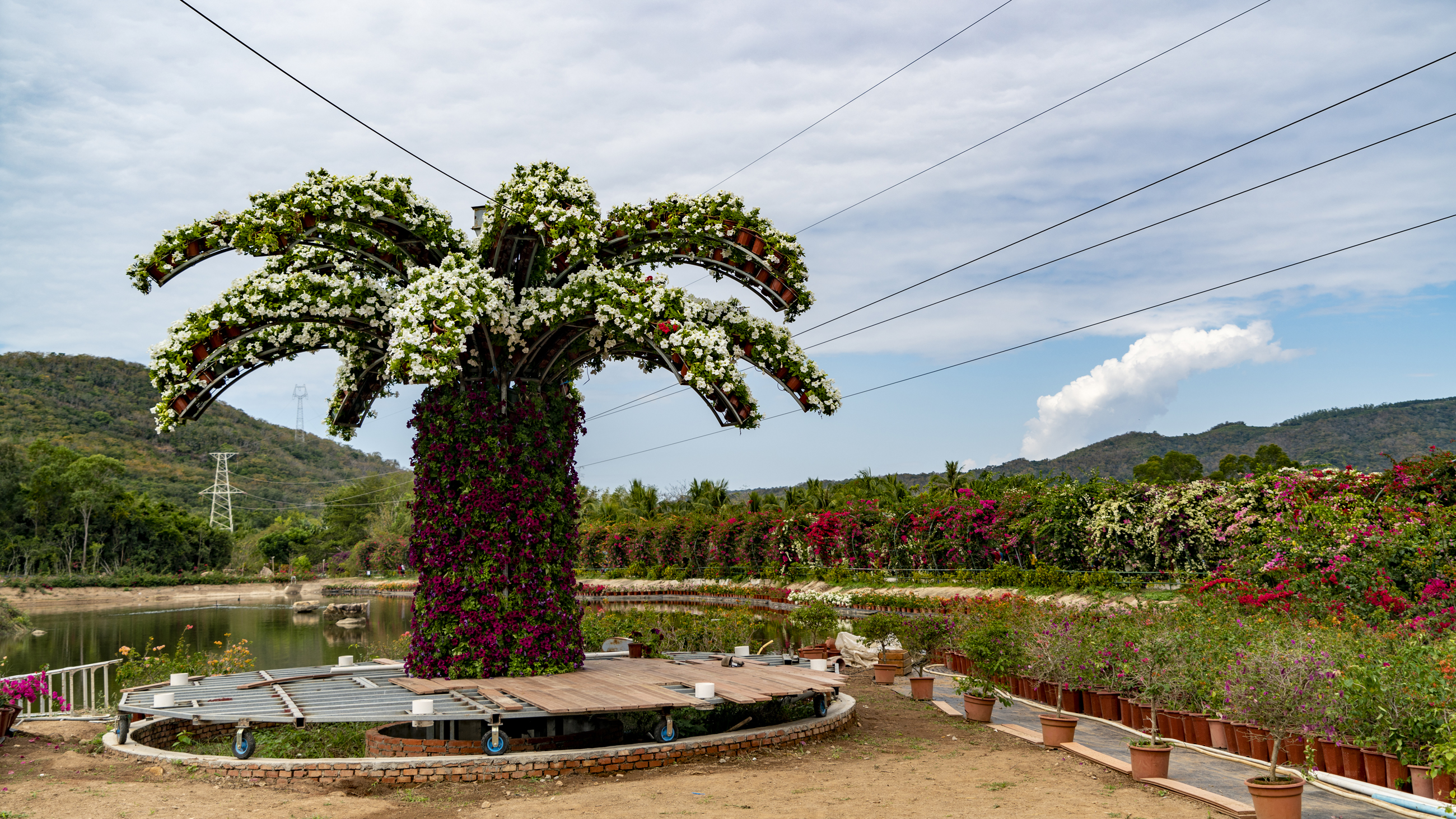 三亚天行森林公园门票,三亚天行森林公园旅游攻略