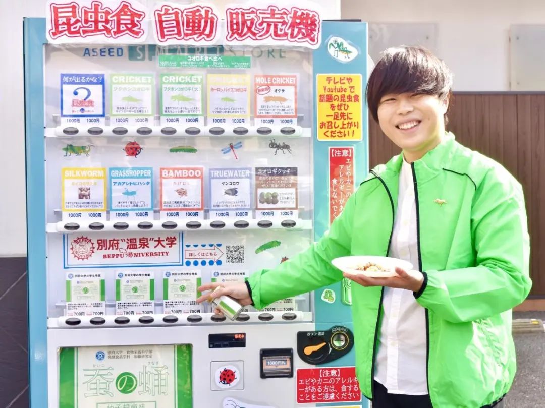 独角仙鹿角虫,鹿角虫和独角仙有什么区别