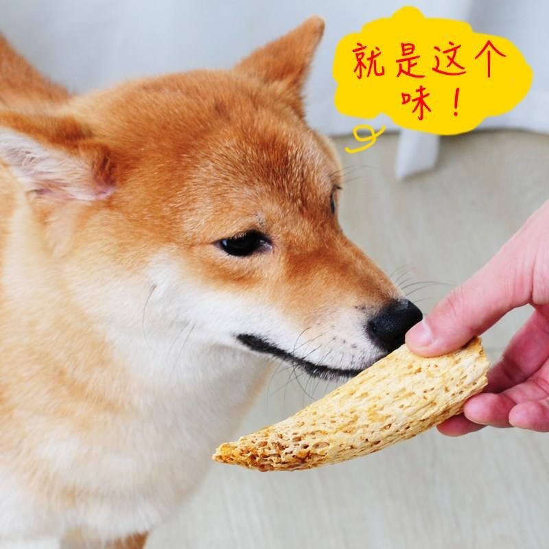 磨牙棒狗狗一天给几根,磨牙棒狗狗一次啃多长时间合适