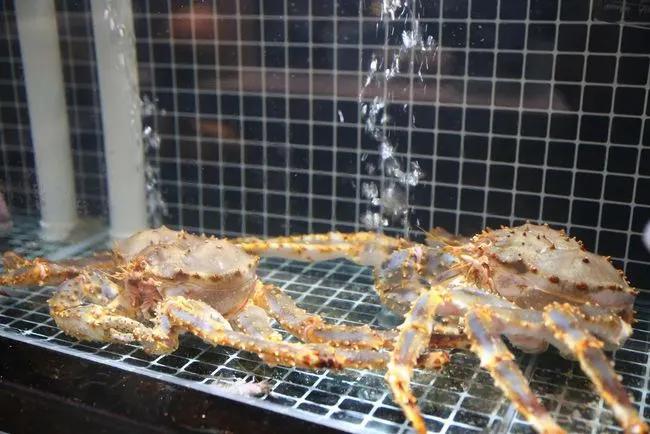 记者卧底实探麦当劳餐厅,北京三里屯餐厅酒吧