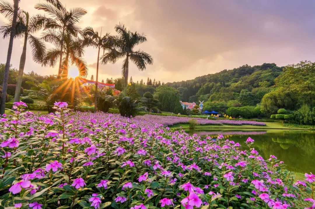 春季赏花景点有哪些,雅安周边春天赏花一日游最佳景点