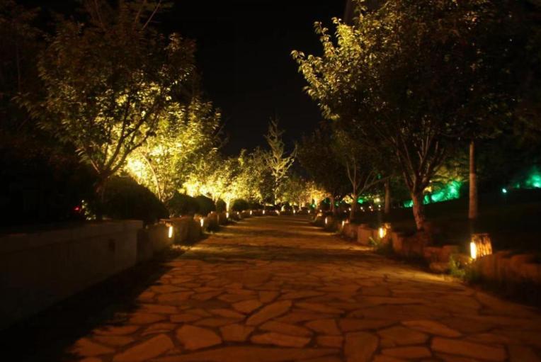 高新区美化亮化,高新区亮化绿化提升改造项目