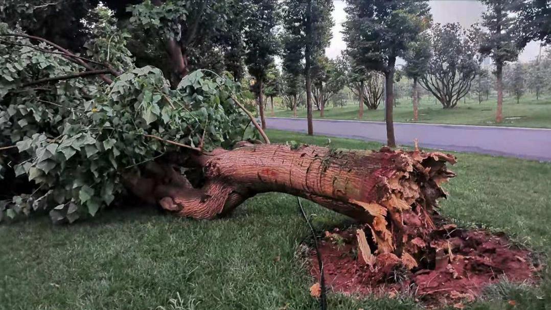 什么煤田是我国最大的煤田,中国发现的五大超级煤田
