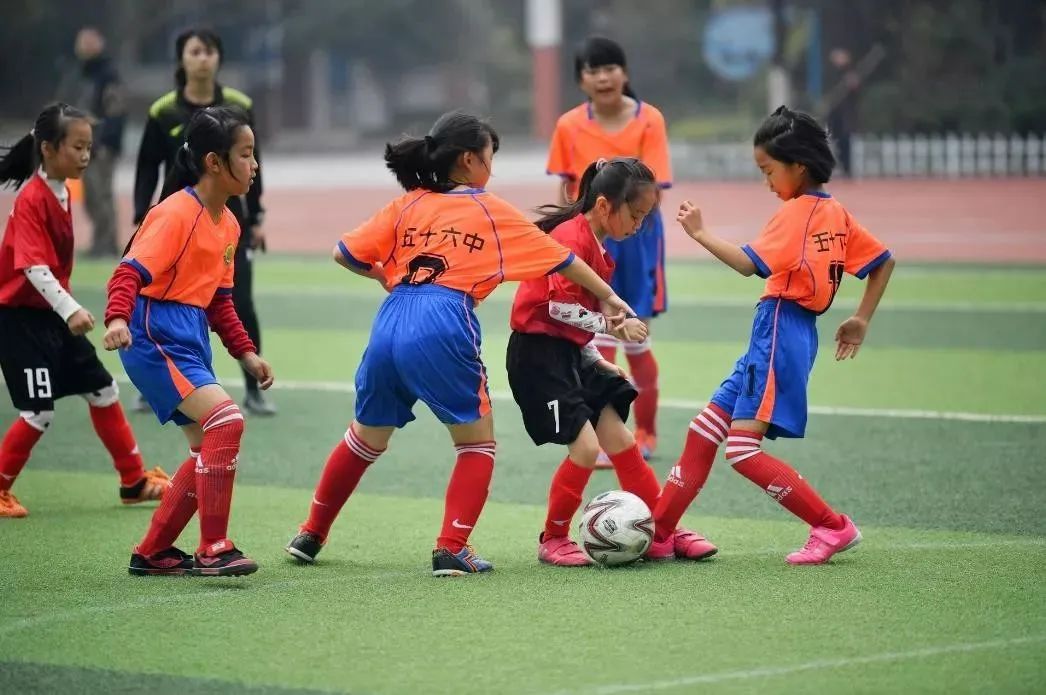 双减政策体育类培训迅速升温,双减政策新东方学而思