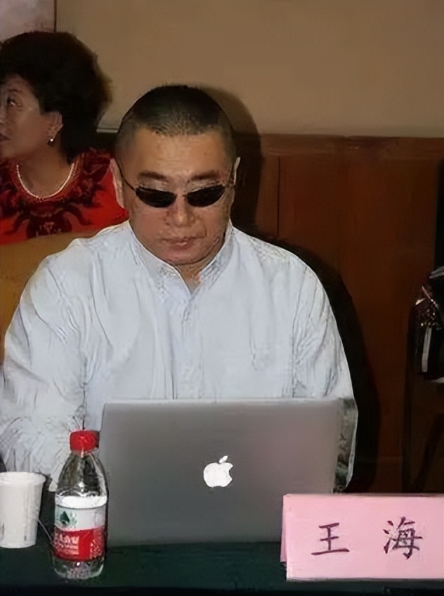 打假辛巴王海赚多少,打假辛巴的王海是谁