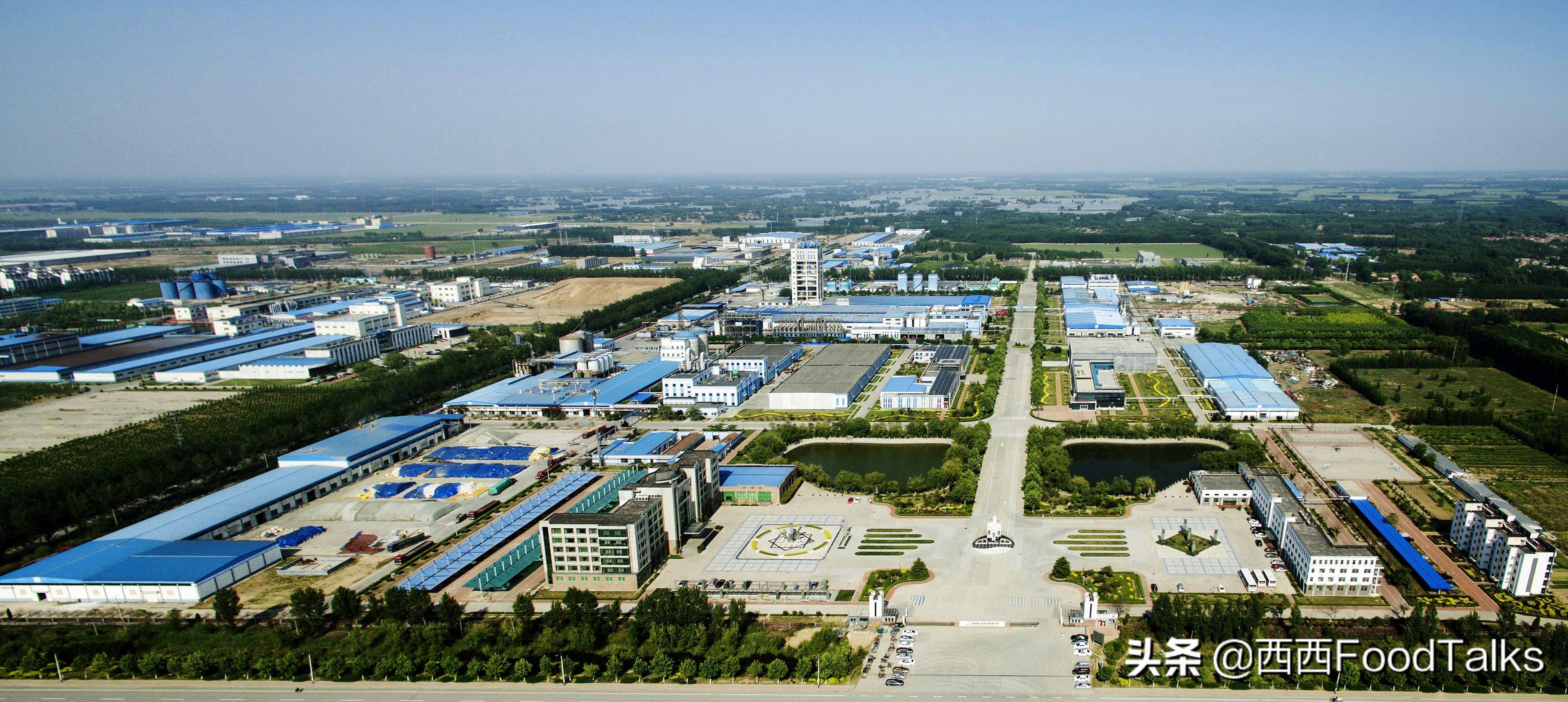 饮料生产企业排名,食品饮料配料龙头企业