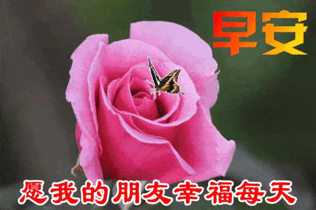 2023年农历是什么年癸卯年,农历2023年癸卯年正月结婚吉日